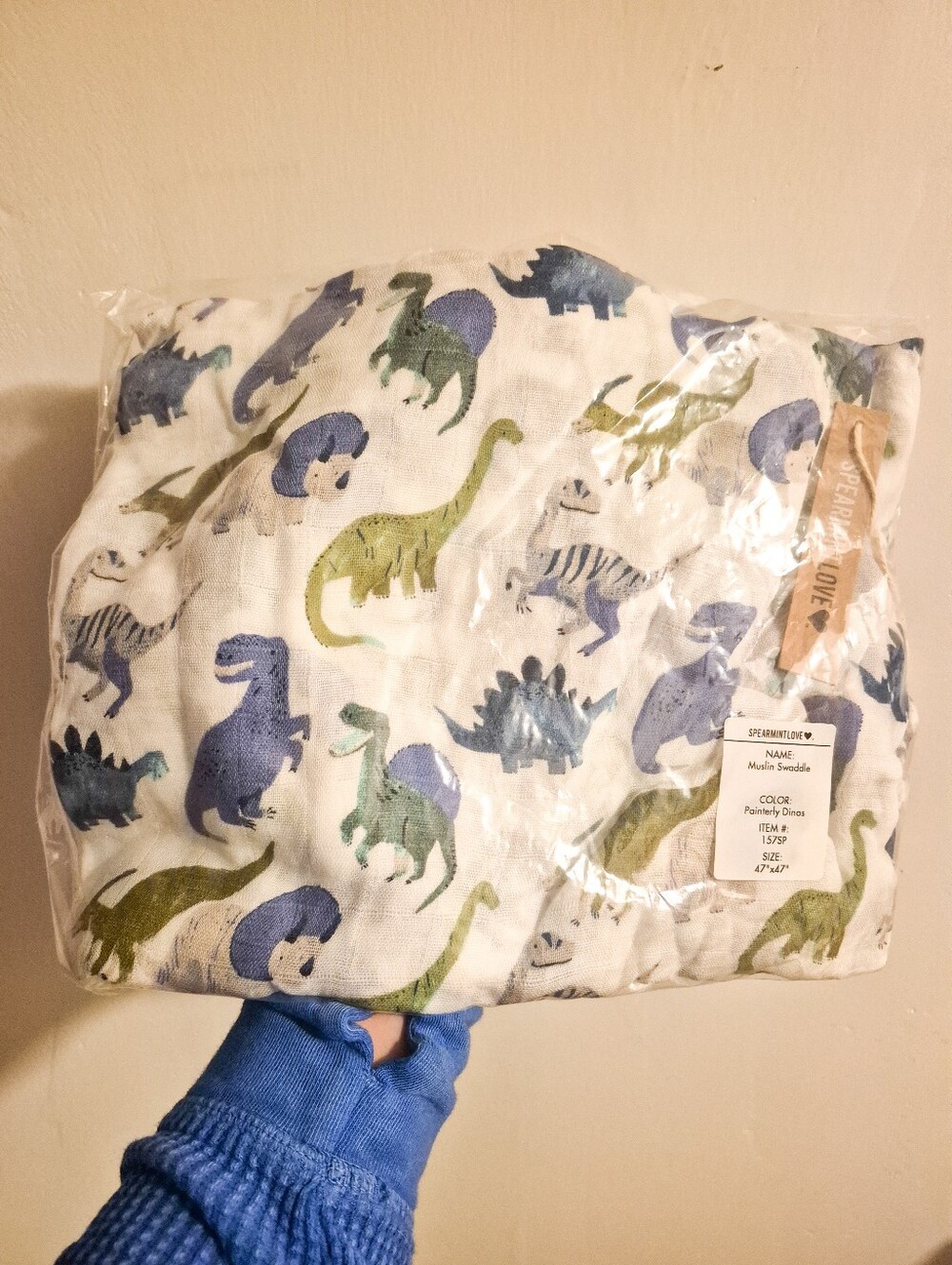 🌼$3 Dinosaur Swaddle